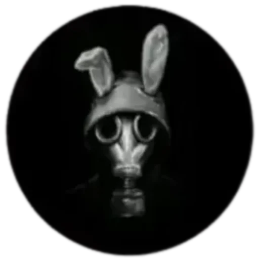 Rabbit Web