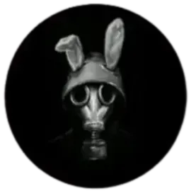 Rabbit Web
